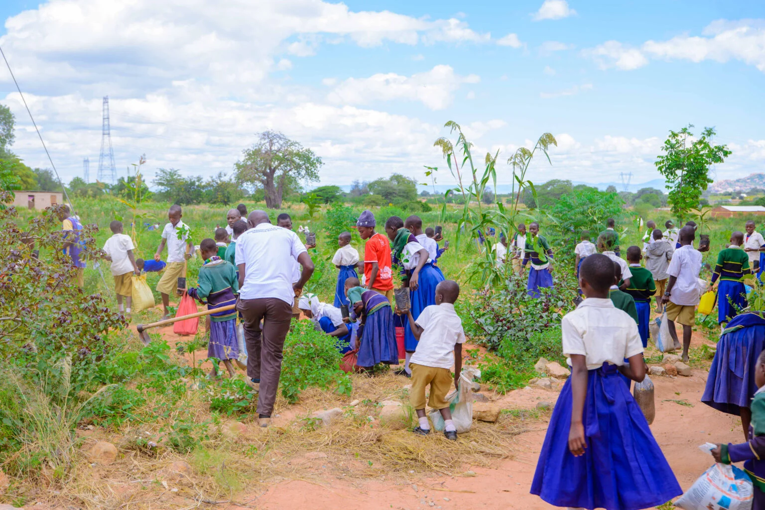 FRIDA AMANI COLLABORATED WITH CHILDREN TO PLANT TREES AT MPAMANTWA PRIMARY SCHOOL.