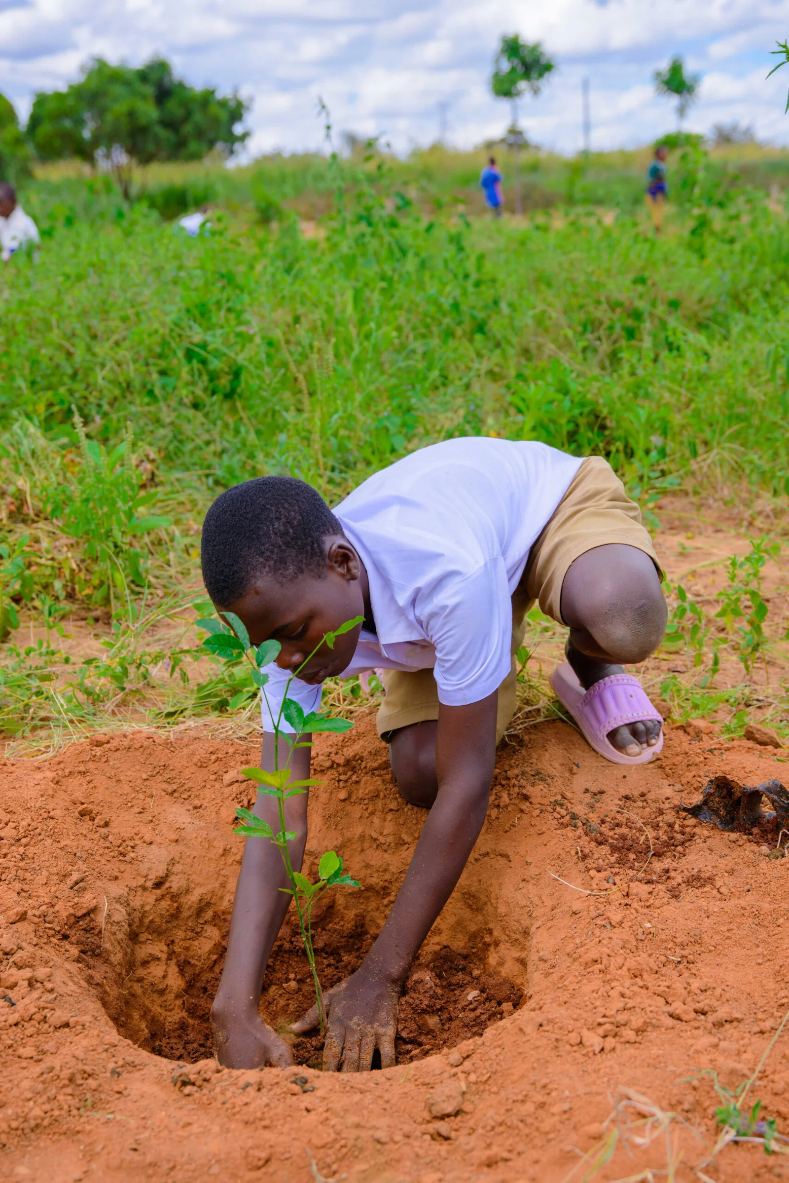 FRIDA AMANI COLLABORATED WITH CHILDREN TO PLANT TREES AT MPAMANTWA PRIMARY SCHOOL.